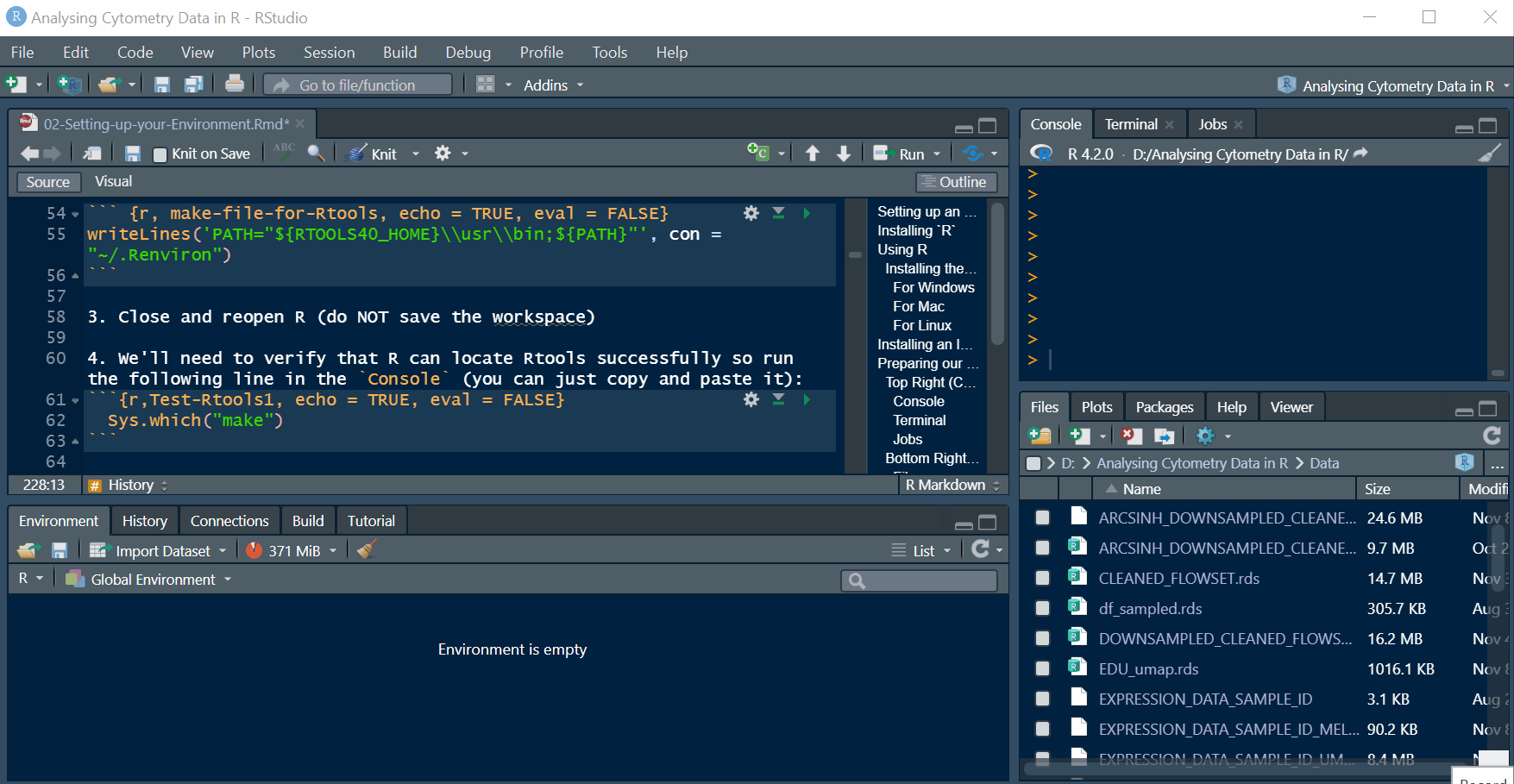 As you create variables and load data, they appear here with basic info about each one