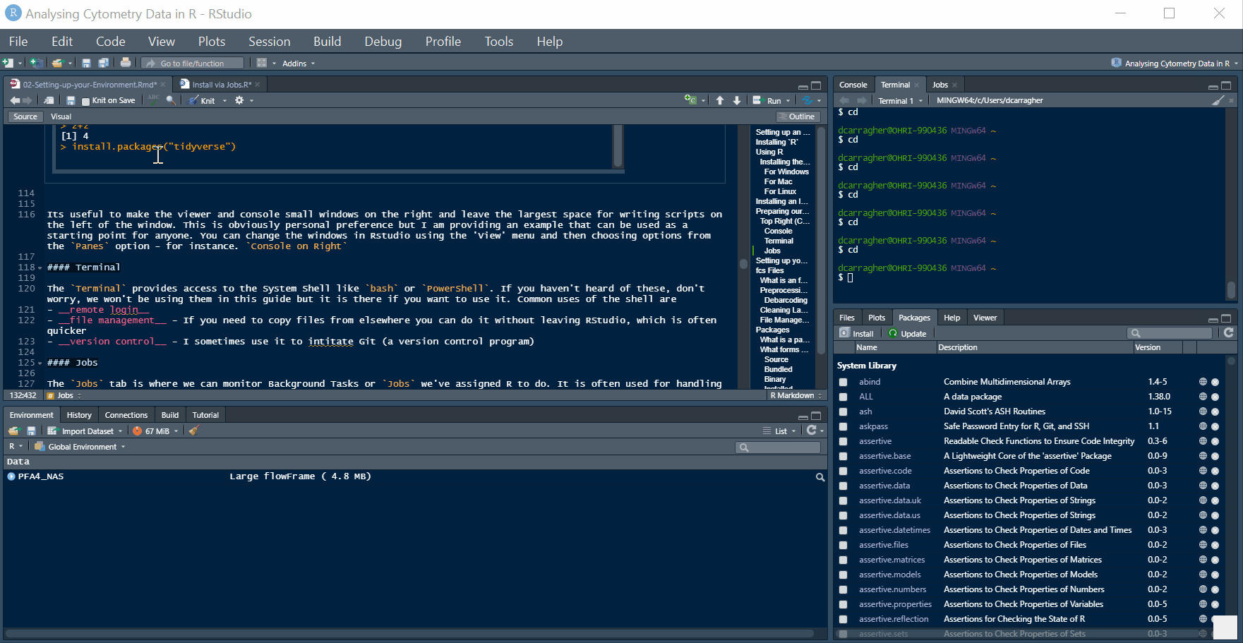 The Terminal tab gives access to your system shell without leaving RStudio